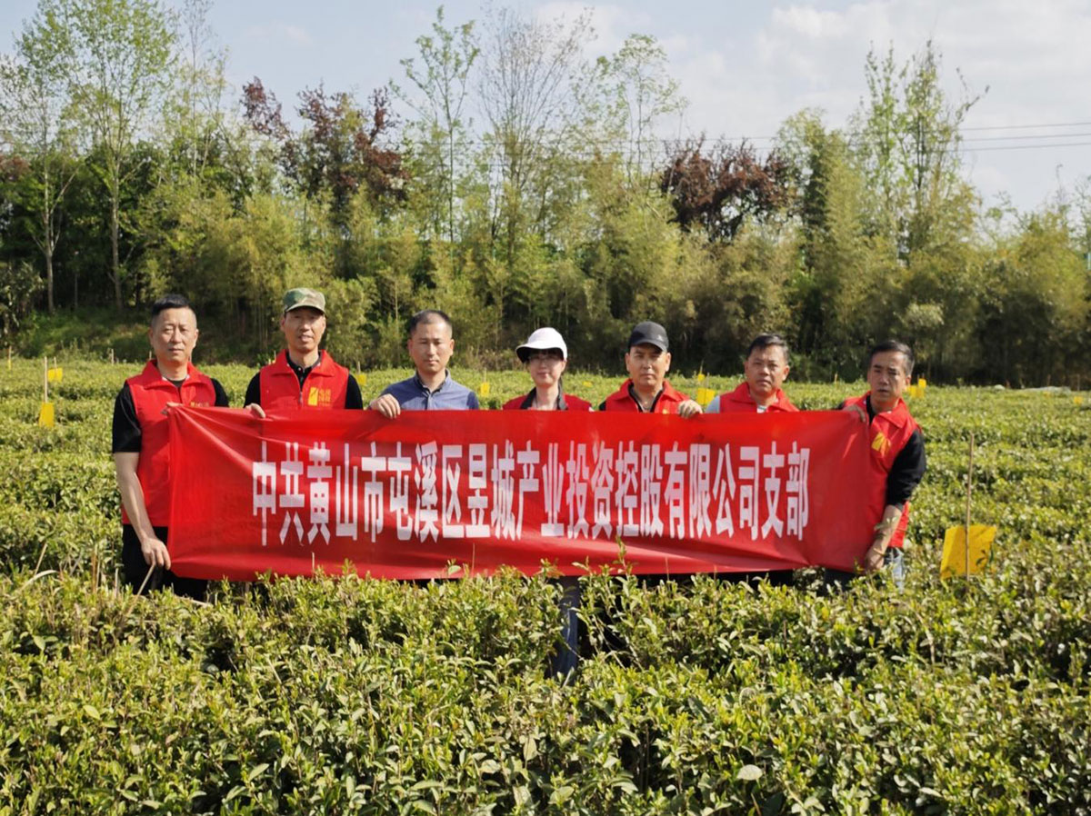 昱城產(chǎn)投公司黨支部開展“茶香潤初心，黨旗映茶園”主題黨日活動(dòng)