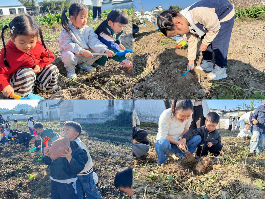 以“童”為橋促振興     農(nóng)耕體驗(yàn)樂翻天