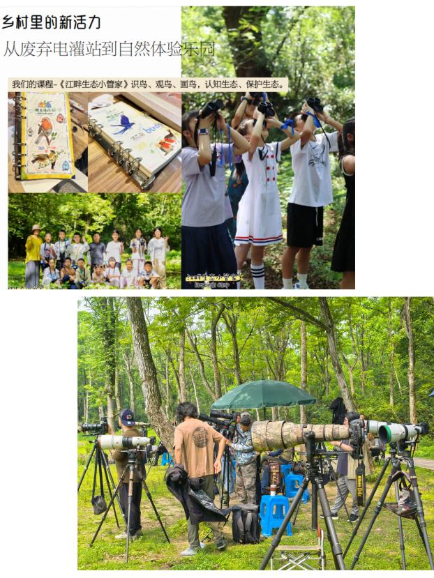 8000萬熱度炸屏！屯溪“護(hù)村小祖宗”聯(lián)動短劇頂級頭部平臺帶火綬帶鳥，短劇+文旅解鎖鄉(xiāng)村振興新密碼