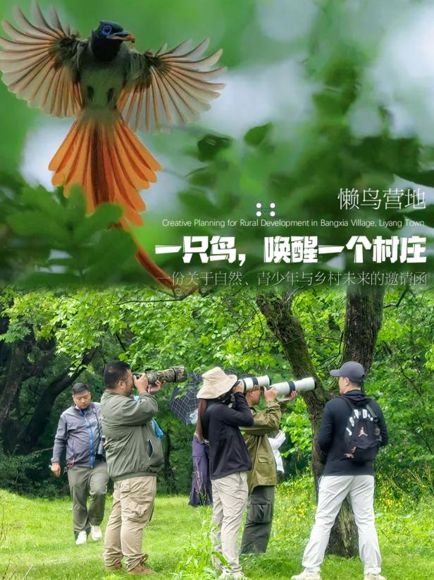 8000萬熱度炸屏！屯溪“護村小祖宗”聯(lián)動短劇頂級頭部平臺帶火綬帶鳥，短劇+文旅解鎖鄉(xiāng)村振興新密碼